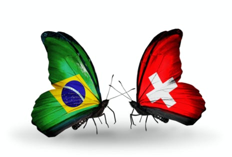 Unser Logo Schmetterlinge aus Brasilien und der Schweiz